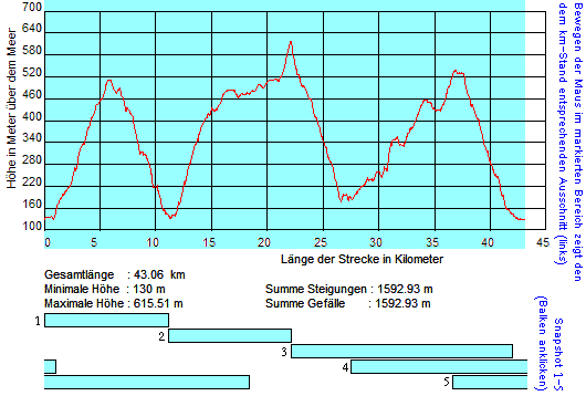 active Profile